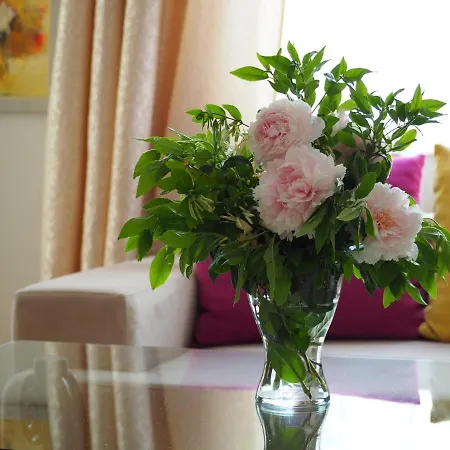Yoana Apartment